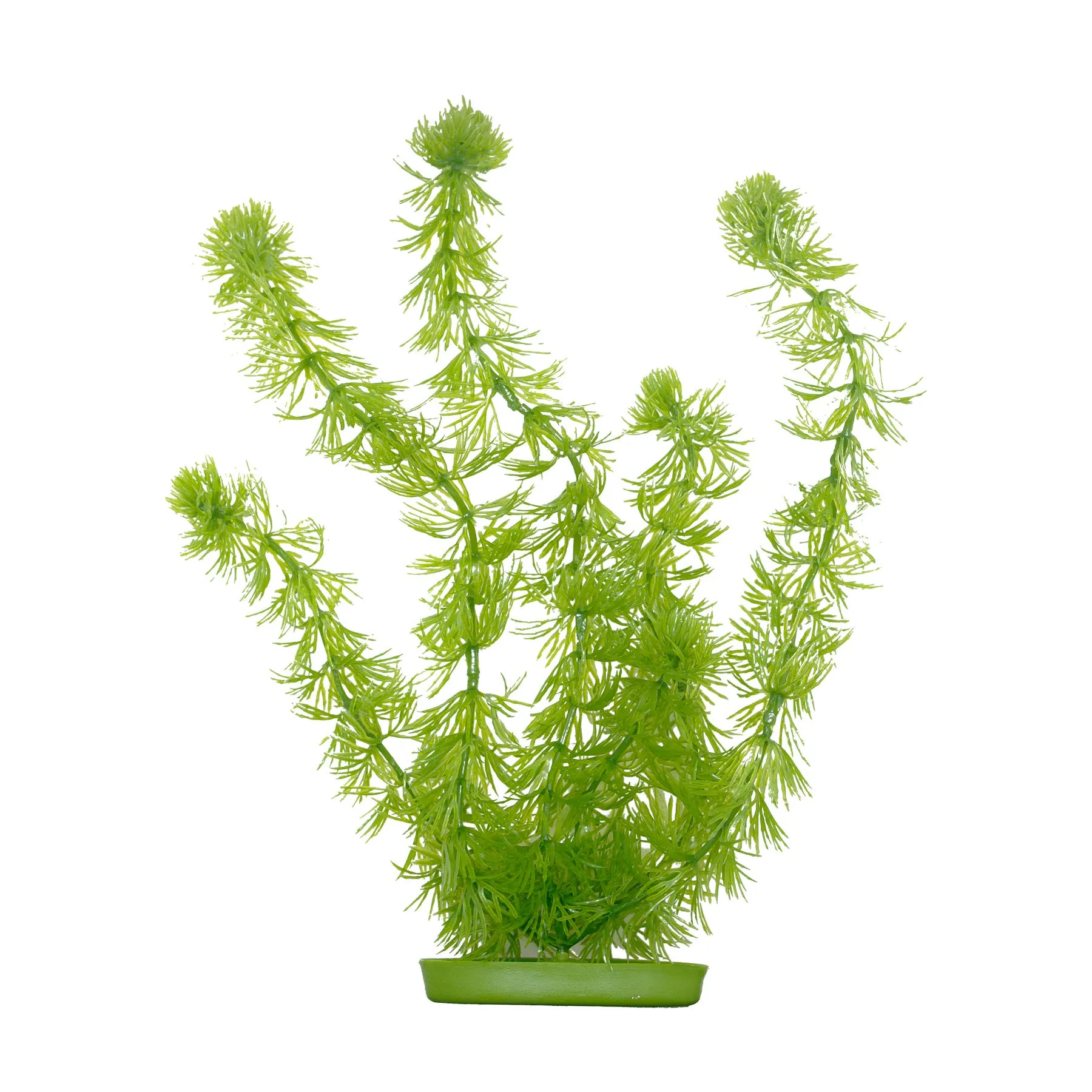 Aquascaper Hornwort Large, 12 inch