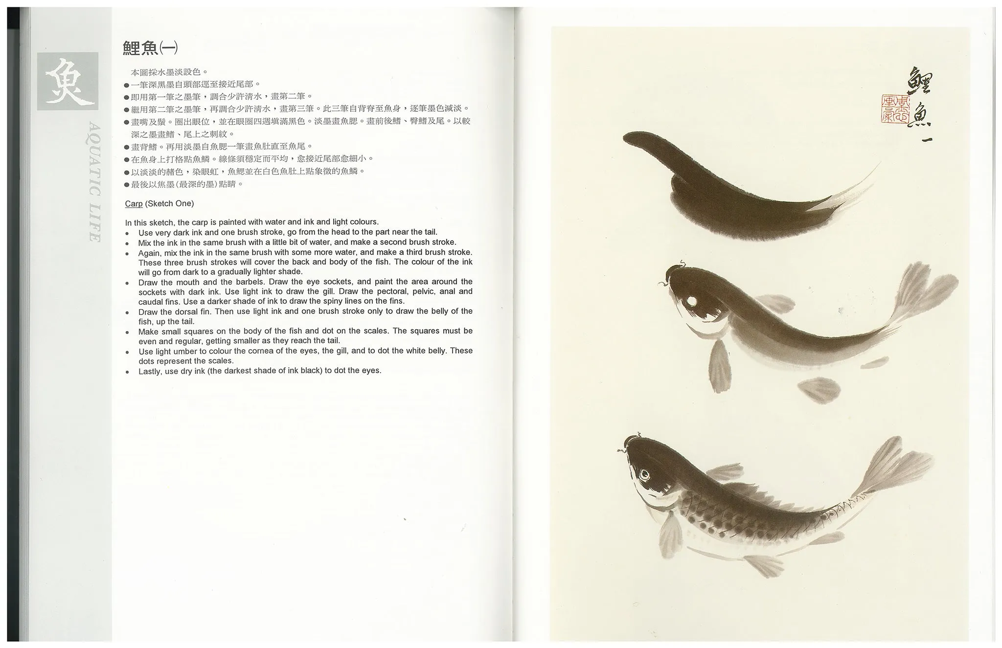 Aquatic Life (V4) - Vegetables, Fruits, Insects & Aquatic Life