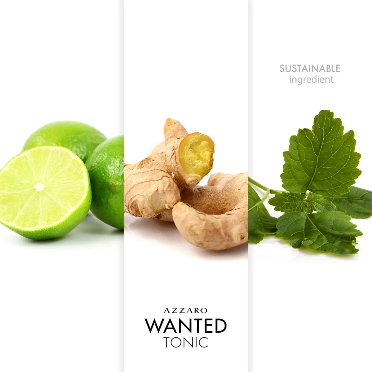 Azzaro Wanted Man Tonic Eau de Toilette