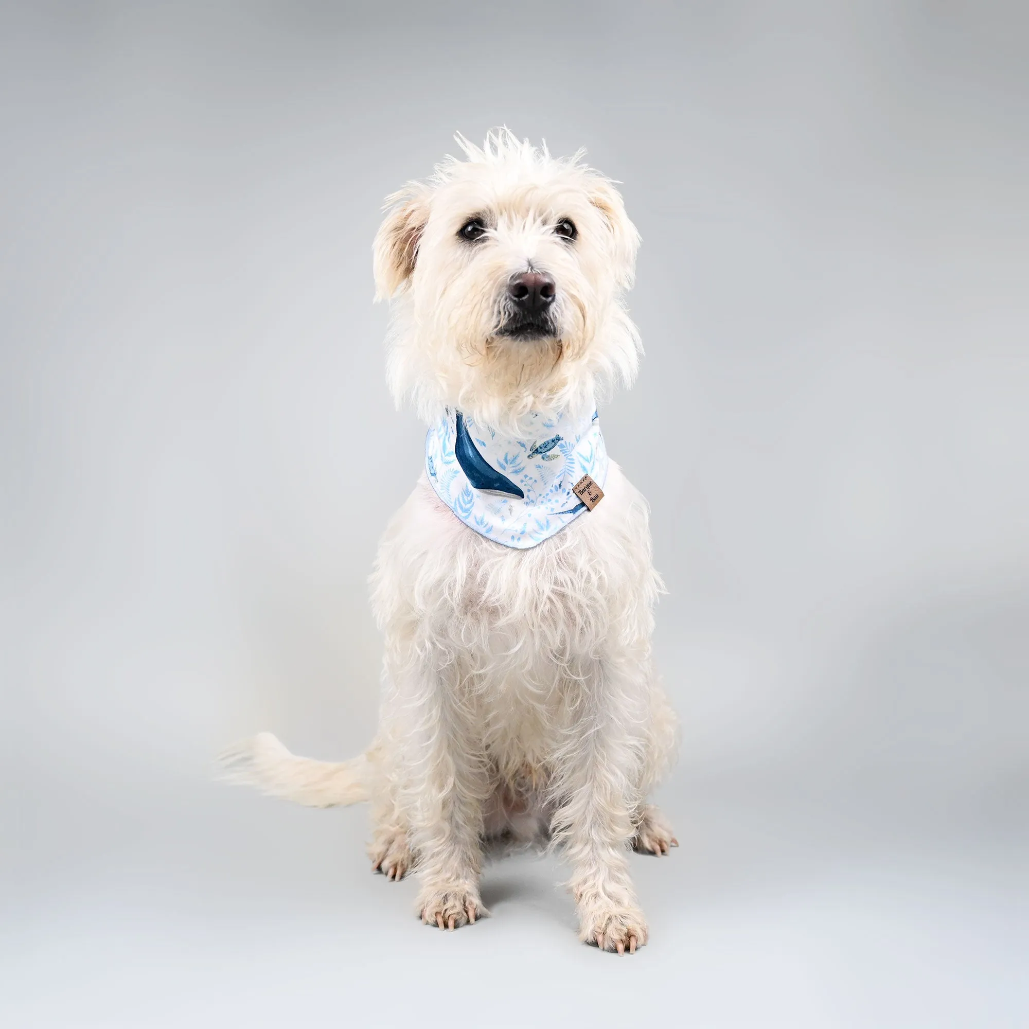 Barque & Bau - Ocean Blues Pet Bandana
