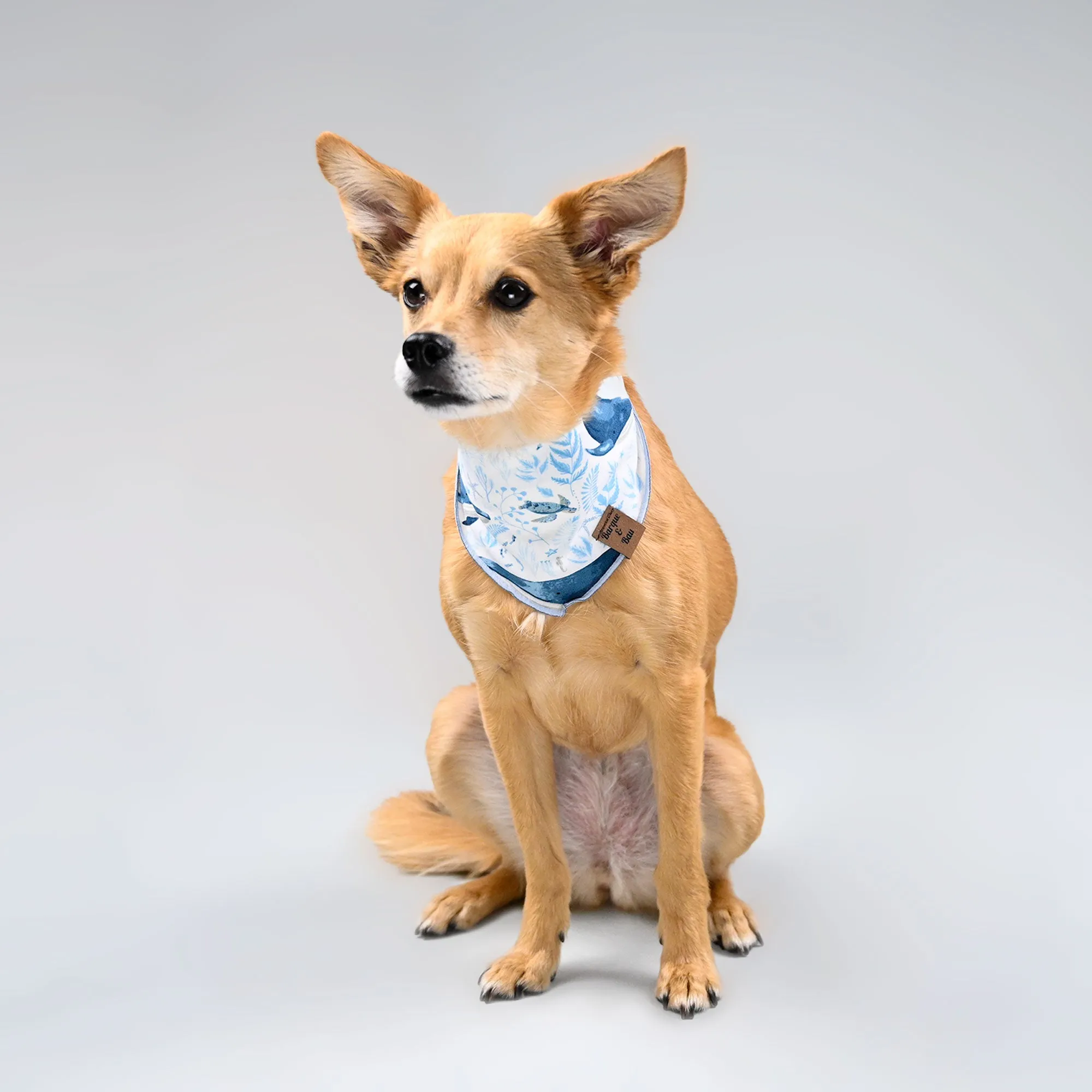 Barque & Bau - Ocean Blues Pet Bandana