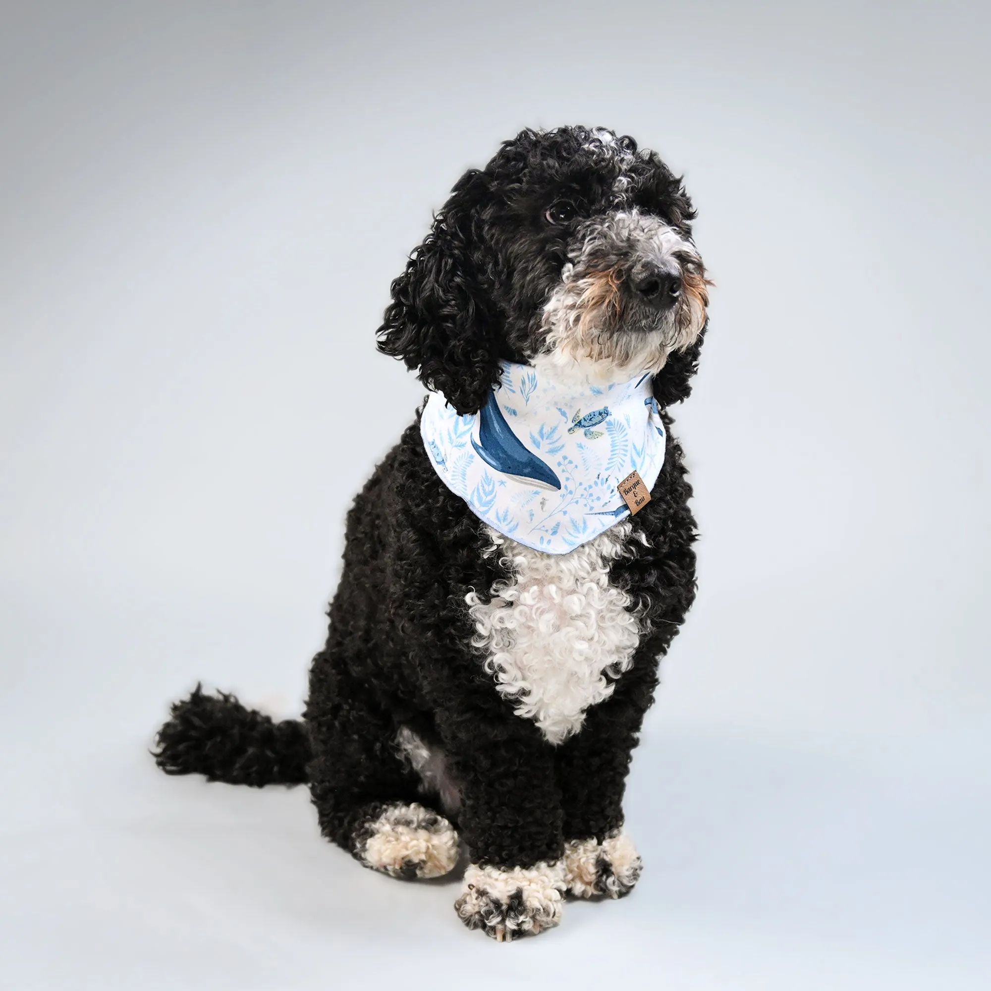 Barque & Bau - Ocean Blues Pet Bandana