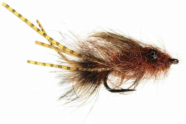 Barry's Carp Bitter - Umpqua