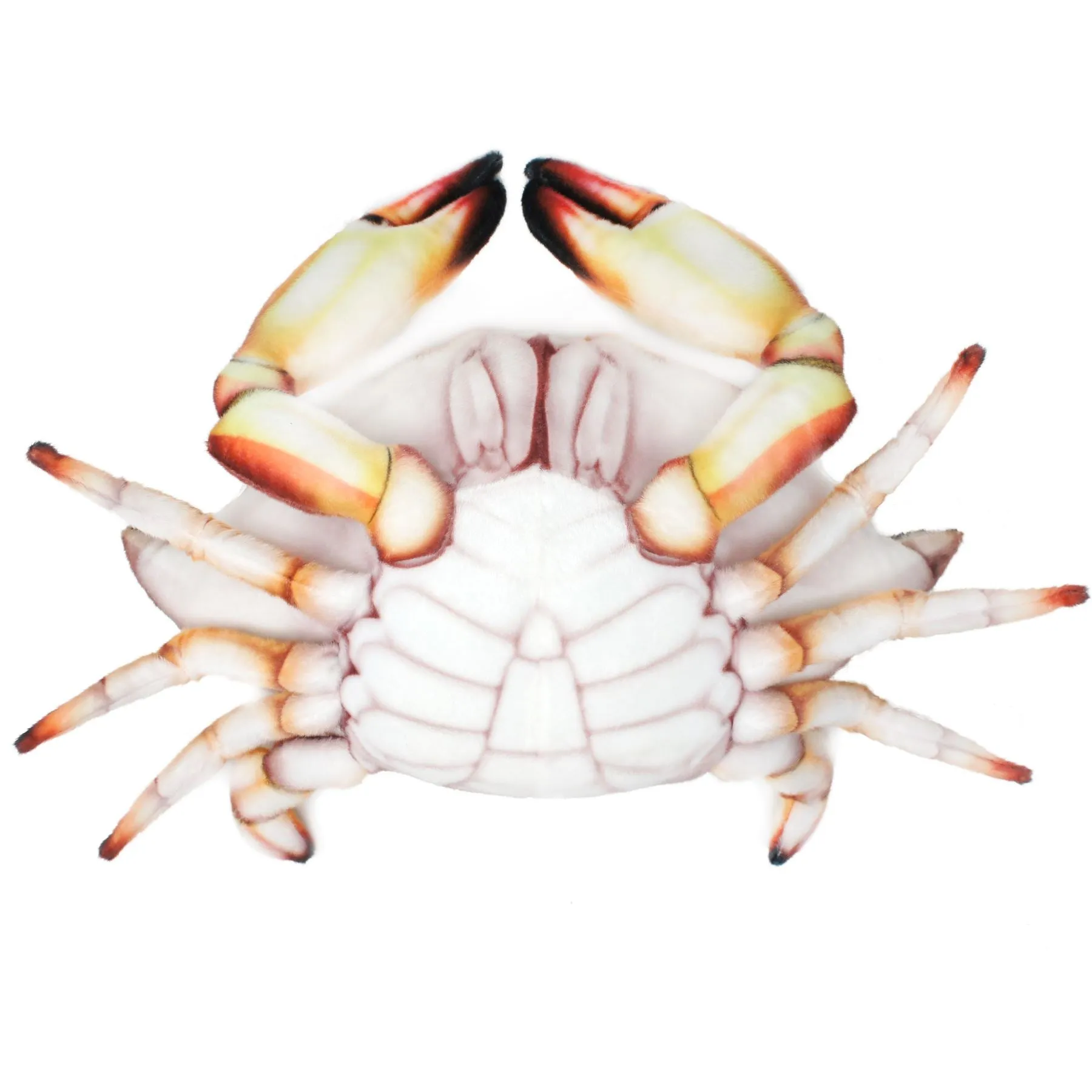 Crandell The Swimming Crab | 18 Inch Stuffed Animal Plush | By TigerHart Toys