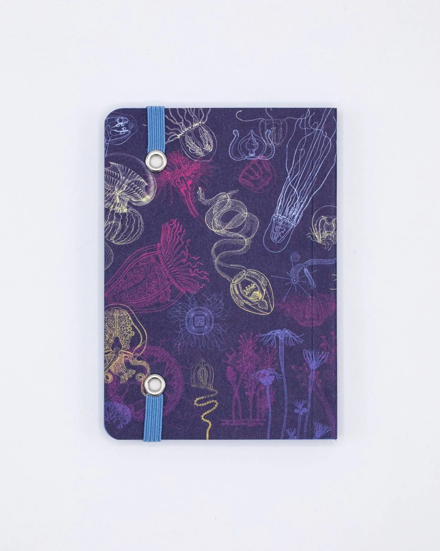 Go With the Flow Jellyfish Observation Softcover