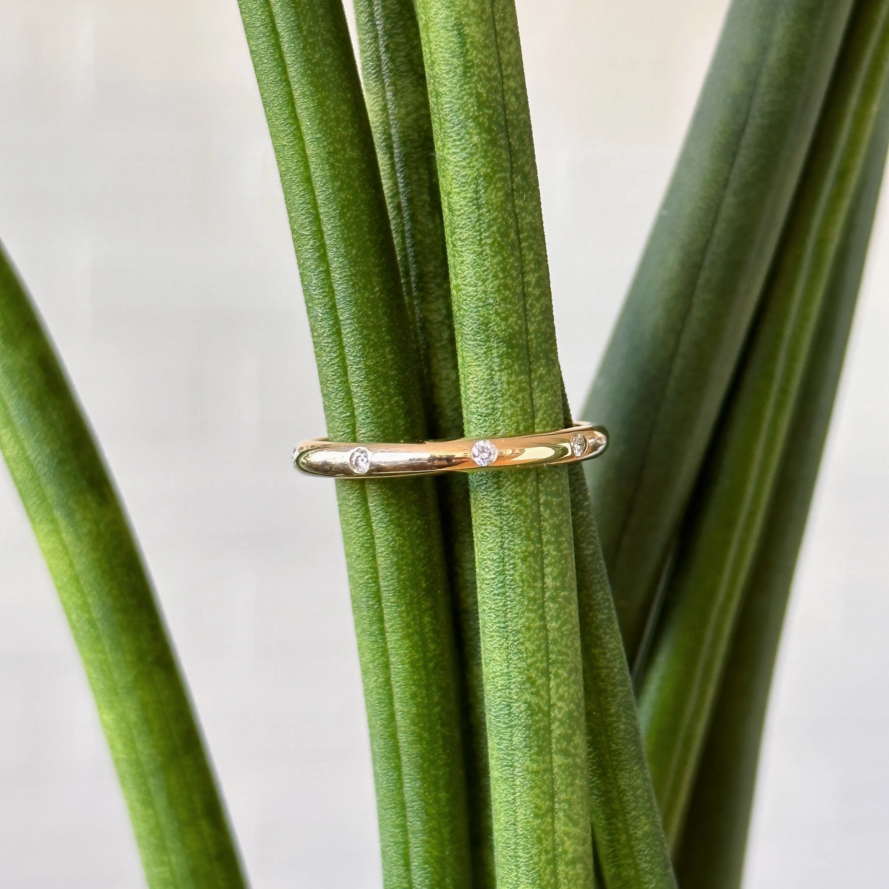 Lassen Half Round Diamond Band