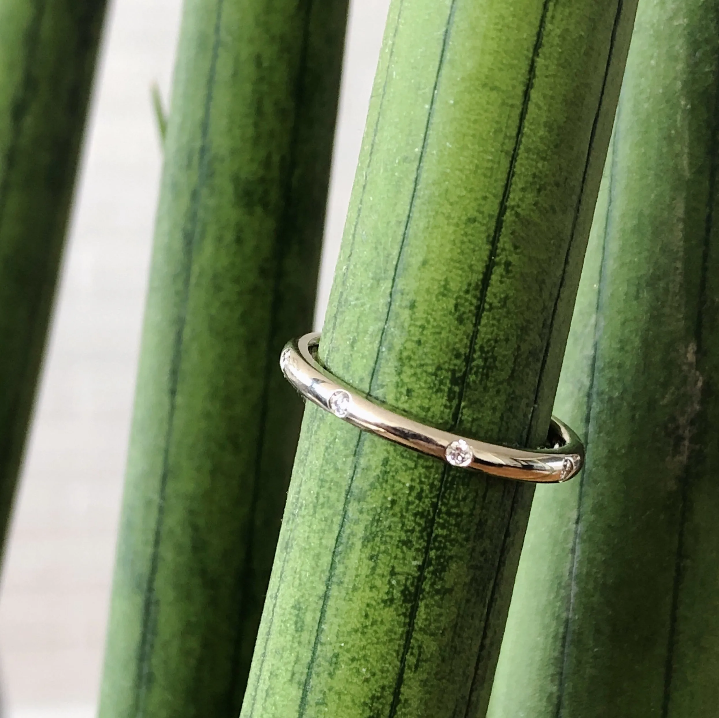 Lassen Half Round Diamond Band