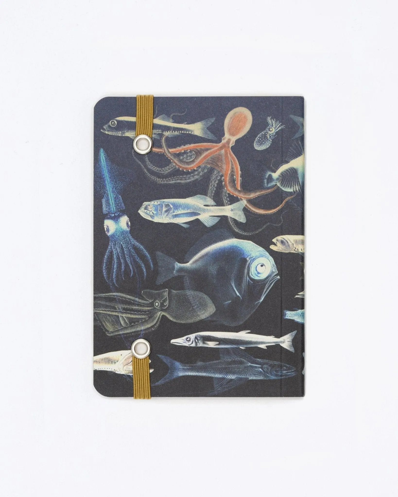 Mysteries of the Deep Observation Softcover