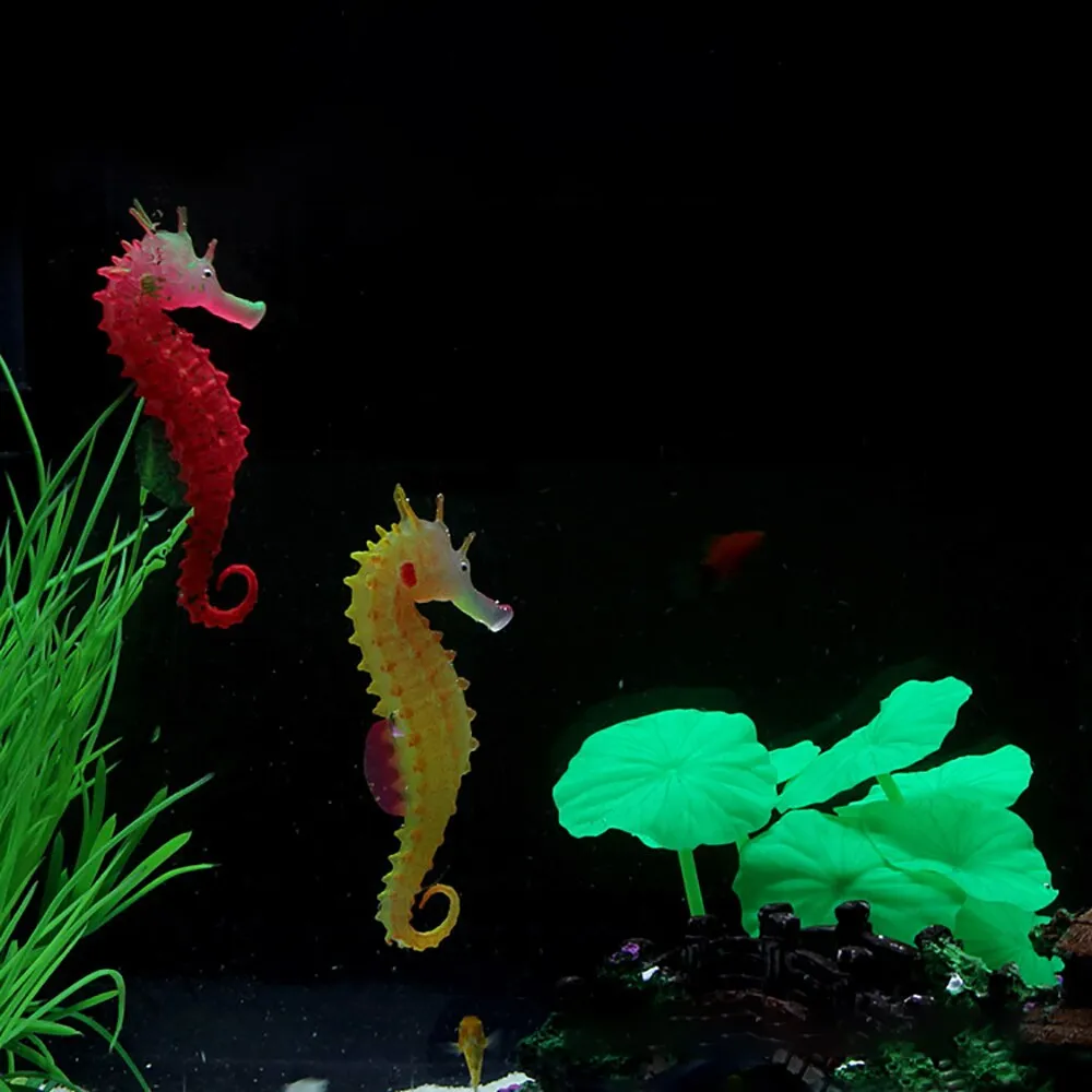Peceras Caballos de Mar Luminosos