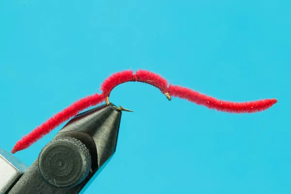 San Juan Worm