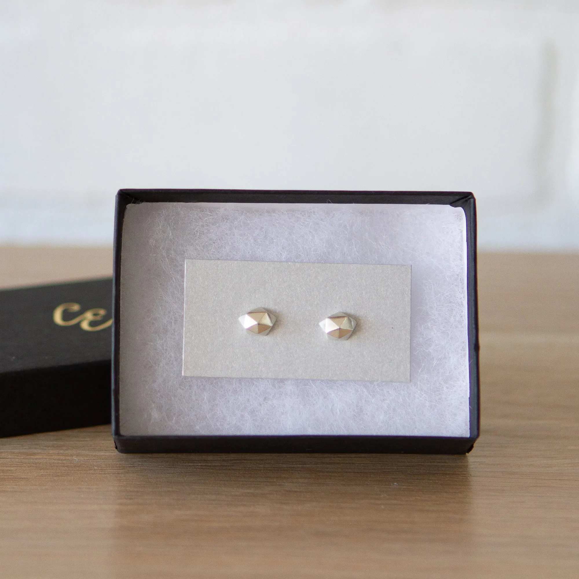 Silver Tiny Fragment Stud Earrings