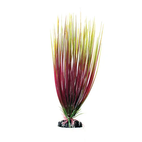 Underwater Treasures Red Green Hairgrass Plant