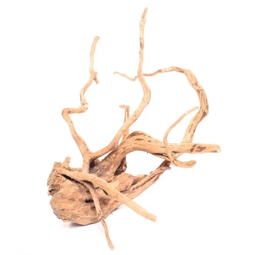 Underwater Treasures Terrarium Wood