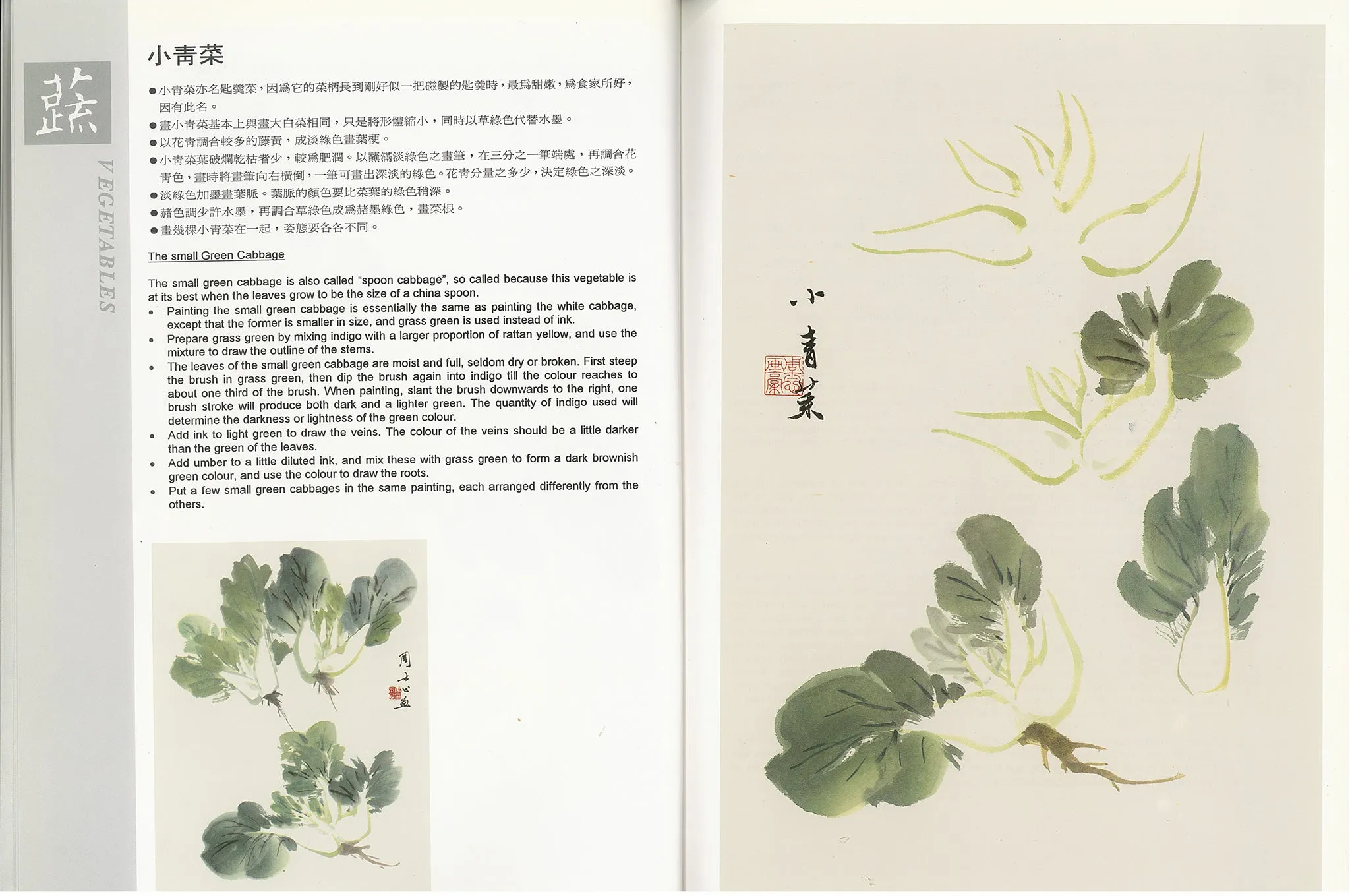 Vegetables (V1) - Vegetables, Fruits, Insects & Aquatic Life